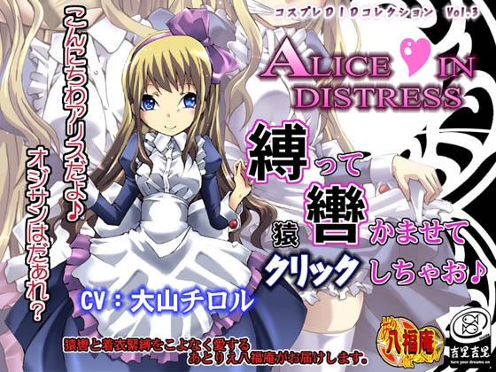 Cosplay DID Collection Vol.3 Alice In Distress