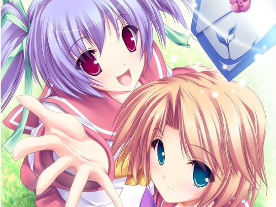 A Letter from Minami
