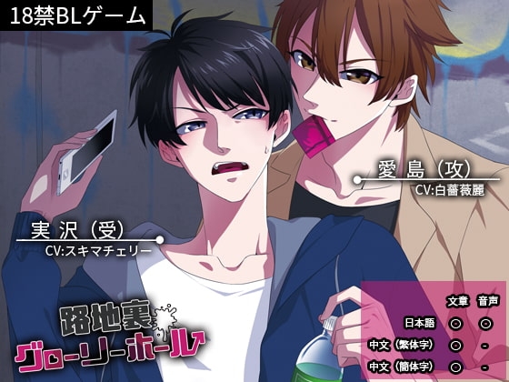 Alley Glory Hole [Japanese/Chinese Ver.]