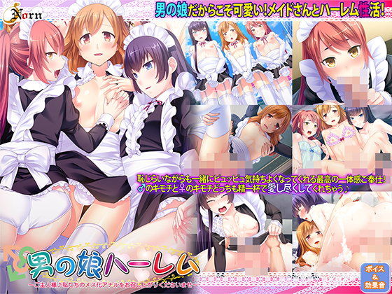 Femboy Harem ~Master, Please Enjoy Our Feminized Anals~