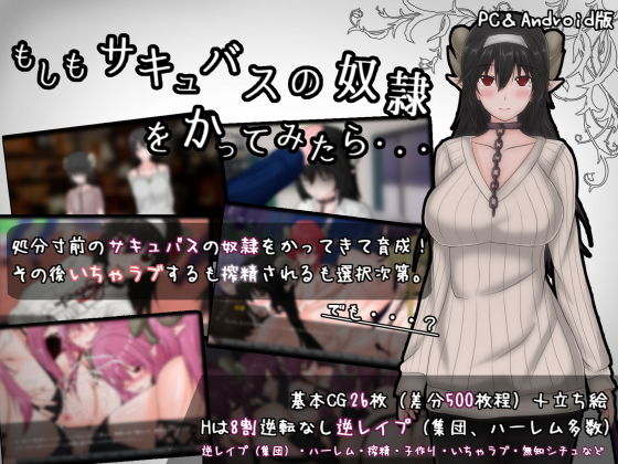 What If I Bought a Succubus Slave?