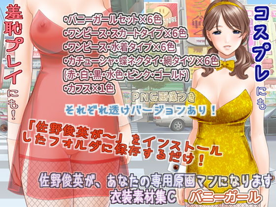 Sano Toshihide Personal Artist - Bunny Girl Costume Set C