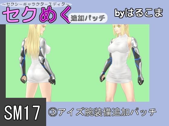 SM17(3) Aiz Arm Equipment Add-on Patch