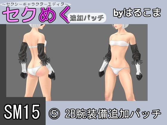 SM15 (5) 2B Arm Equipment Add-on Patch (harukoma)