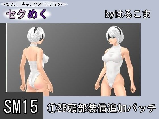SM15(1) 2B Head Equipment Add-on Patch (harukoma)