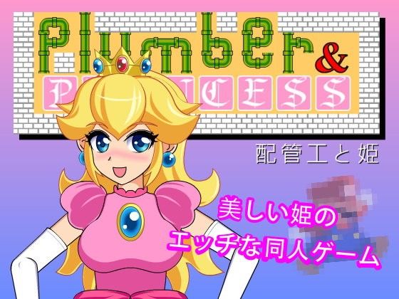 The Plumber and the Princess