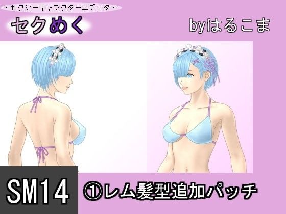 SM14 (1) Rem Hairstyle Add-on Patch (harukoma)