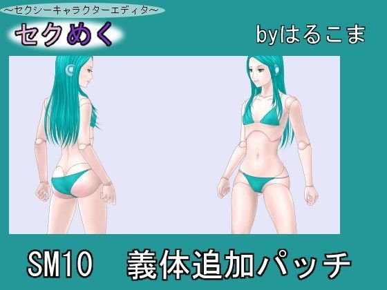 SM10 Cyborg Body Addition Patch (harukoma)