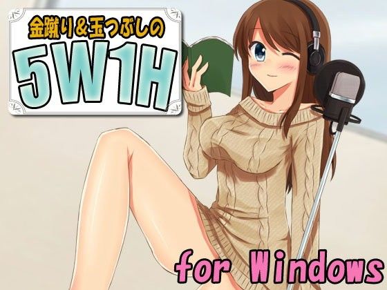 Ballbusting 5W1H Game (Windows)