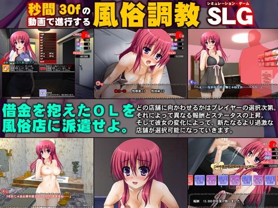 Debt Repayment Underground Sex Work Simulator