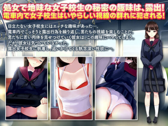 Train Exhibitionist Girl and Stalker Voyeur