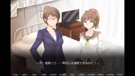 What Kind of Eroge is This? (marginal)