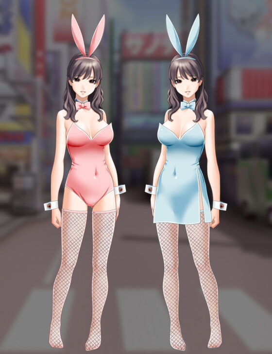 Sano Toshihide Your Personal Artist - Bunny Girl Costume Set B