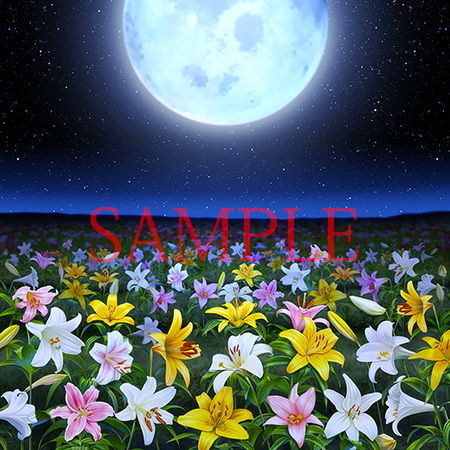 Royalty-Free Background CG Assets: Lily Field & Lily Materials