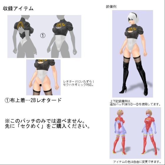 SM15 (3) 2B Leotard Add-on Patch