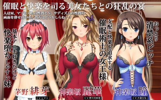 Reika's Mansion Movie Edition Updater