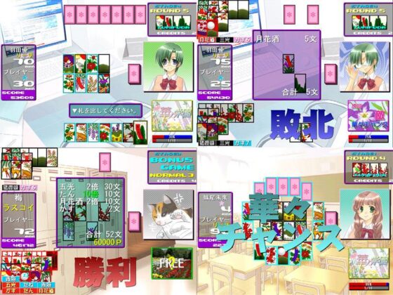 Private Hanabana Academy RX (KOBASoft)