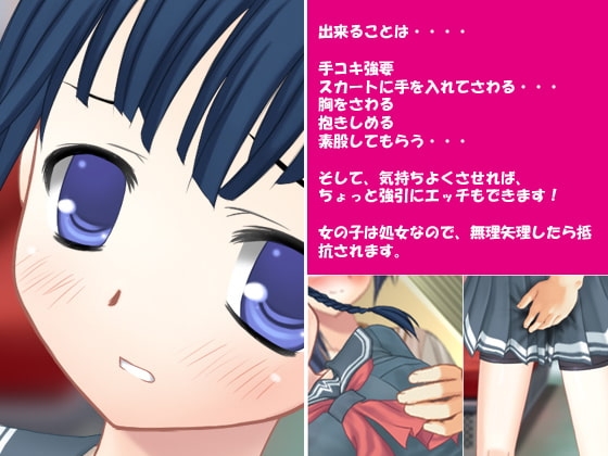 Molester! Vol.4 Bullying Girl Edition 2 [Delusion]