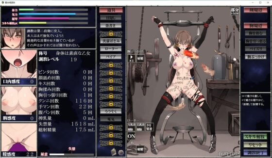 Lewd Sex Slave Training Plan [Smartphone Version]