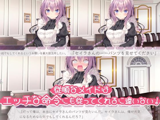Master, May Seila Serve You with Dream-like Lovey-Dovey Care?