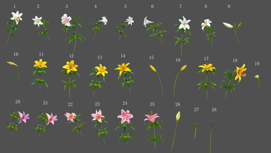 Royalty-Free Background CG Assets: Lily Field & Lily Materials