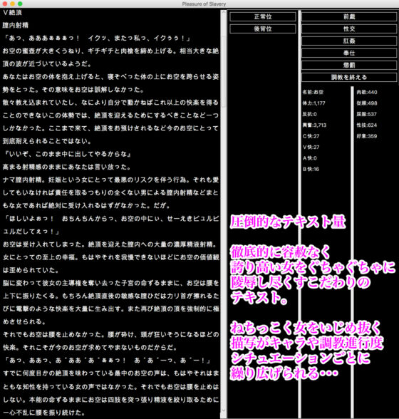 Touhou Degradation Records Compilation 2 Vol.4-6