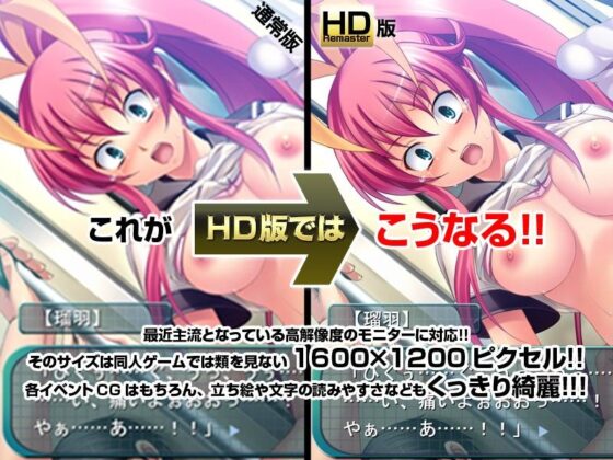 Sister Suffering ~Circulating Meat~ HD Remaster