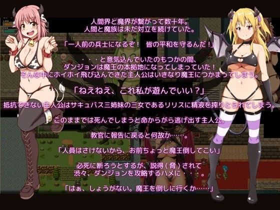 Incompetent Hero and the Demon King's Vagina