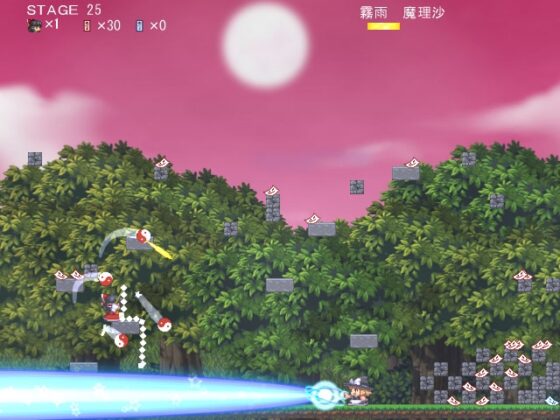 Touhou Coin Toss Game [Kanagawa Electronic Technology Lab]
