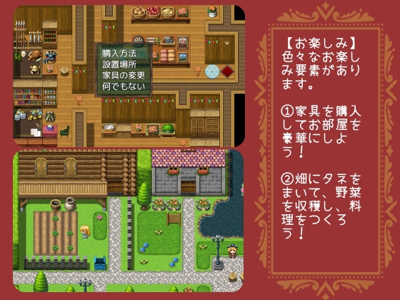 Omiyage Fantasia: The Souvenir Thief and the Mysterious Island
