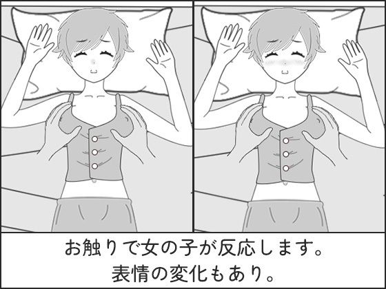 Sleep Play ~Prank Simulation~