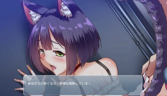 Nyan Koi ~Pure Love Cat Girl Cohabitation~