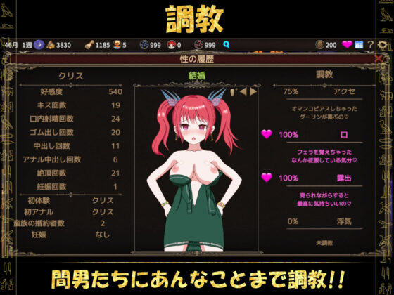 Village Targeted by Barbarians ~Village-Wide NTR Simulation~