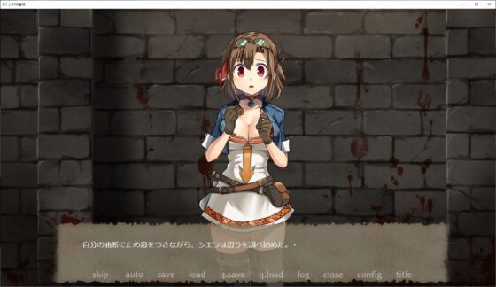 Sierra's Adventure: Cavern of Ruin (Watari Laboratory)