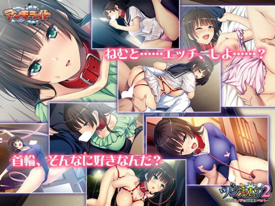 Tsun'em! 2 - My Girlfriend is an Adorable Pet