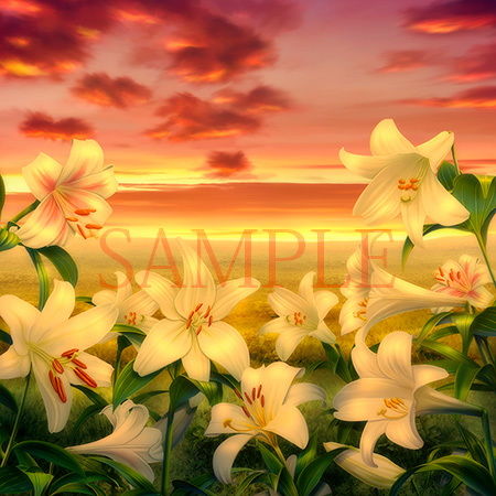 Royalty-Free Background CG Assets: Lily Field & Lily Materials