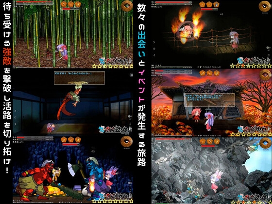 Chinchilla Battle Heroine Set