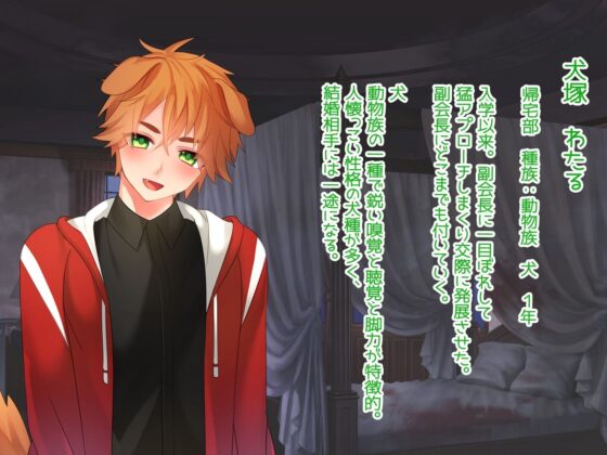 Rumors ~ A Love Story (milkuseeki)