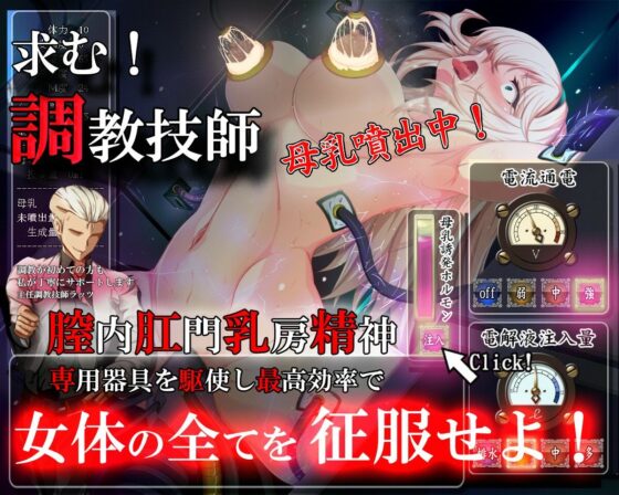 Female Pig Sex Slave Swordmaster Cecilia - The Noble Warrior Falls to Depravity