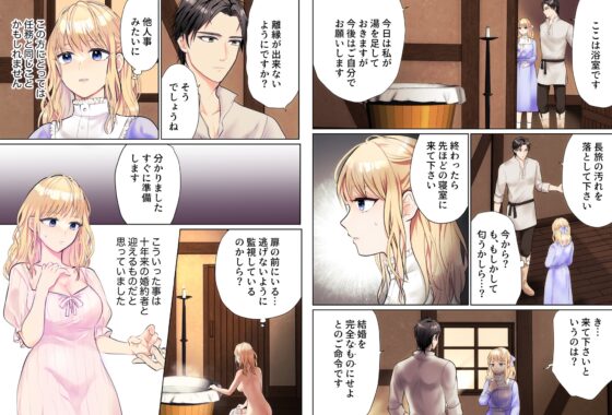The Exiled Princess's Marriage