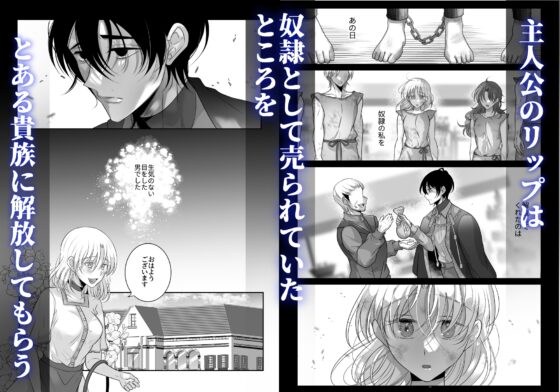 Freeing the Slave: A Sex-Addicted Noble [Takorais]