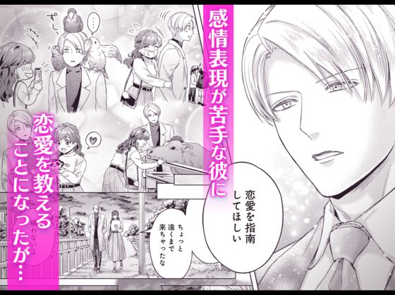 The Cold Prince Wants to Learn About Love
