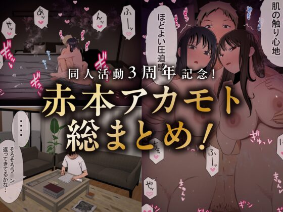 Akamoto Collection 2 - 3rd Anniversary Compilation