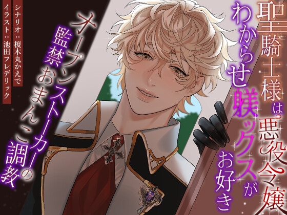 The Holy Knight Loves Disciplining the Villainous Noblewoman
