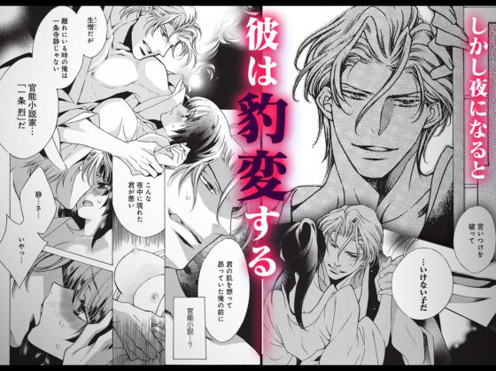 The Erotic Novelist's Transformation: Taming Rinko
