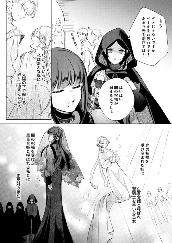The Holy Knight's Lust