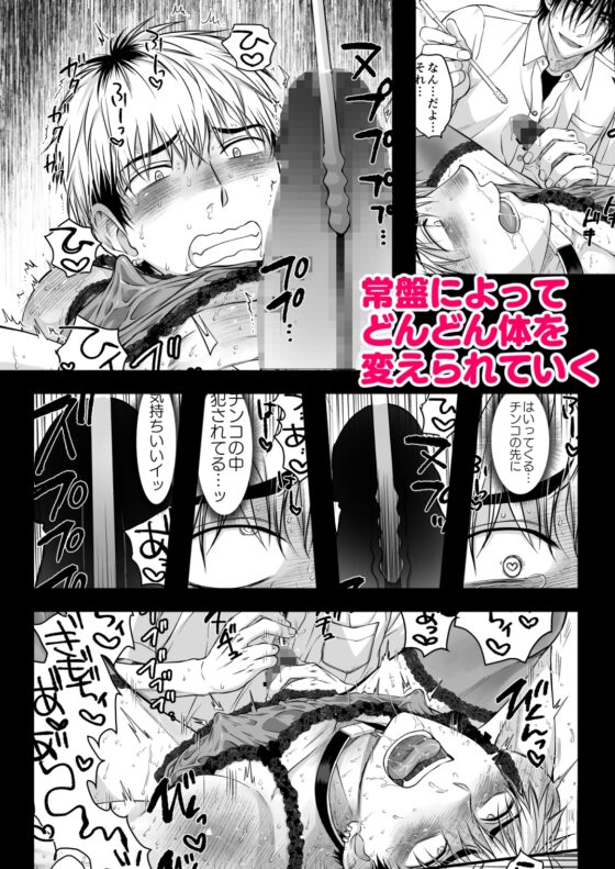 Aftermath of Kazuma Yashiro, Dedicated Sex Disposal