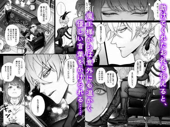 The Demon King Saved the Holy Maiden from the Hero's Party