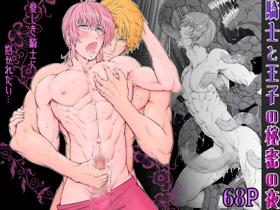A Knight and Prince's Secret Night