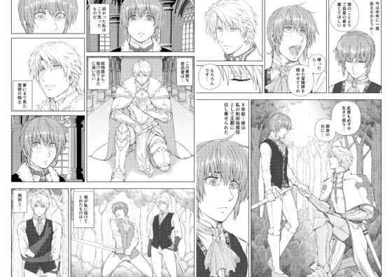 A Knight and Prince's Secret Night